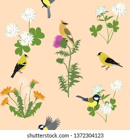 Seamless vector illustration with thistle, dandelion and birds on a beige background. For decorating textiles, packaging, web design.
