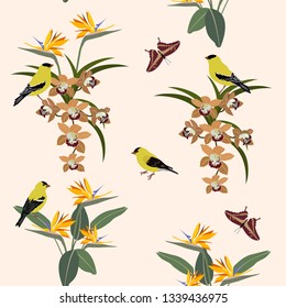 Seamless vector illustration with tropical orchids, strelitzia flowers, birds and butterflies. For decorating textiles, packaging, covers, web designs.