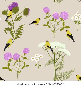 Seamless vector illustration with wildflowers and birds on gray background. For decoration of textiles, packaging, web design.