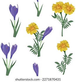 Seamless vector illustration with yellow marigolds and purple crocus on a white background. For decorating textiles, packaging, paper.