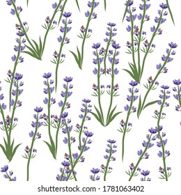 Seamless Vector Lavender on white background Pattern. Great for Fabrics, Scrap booking, bullet journal, textiles, blankets, pillows, cover,