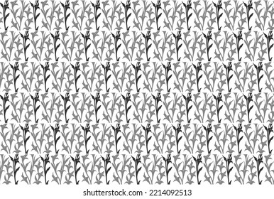 Seamless vector line art pattern made of blooming gladiolus flowers