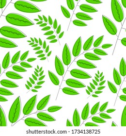 Seamless vector of natural green leaf. neatly attached to the branches and looks fresh. Suitable for decoration, background, wrapping paper and other pattern needs
