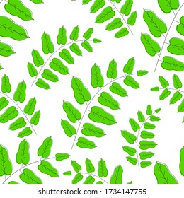 Vector sin foco de hoja verde natural. bien unido a las ramas y con aspecto fresco. Adecuado para la decoración, el fondo, el papel envoltorio y otras necesidades de patrón
