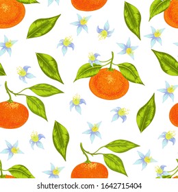 Seamless vector orange mandarin tangerine with leaves and flowers pattern. Colorful juicy background on white