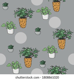 Seamless vector patern of houseplants in pots.