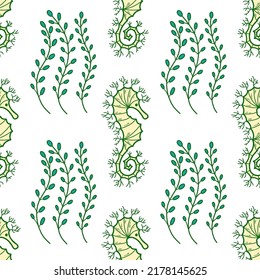 Seamless vector pattern with algae and sea horse on white background.