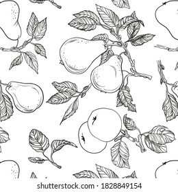 Seamless Vector pattern Apple and pear engraving. Isolated on a white handmade background. Summer fruit engraved illustration style. Vegetarian food. Background of fruit. 