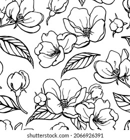 Seamless vector pattern of apple tree flowers,black  and white elegant floral  background. Hand drawn illustration for design packaging, textile, wallpaper, fabric