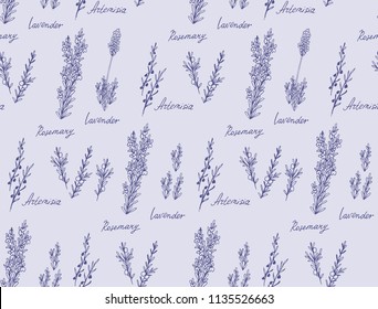 Seamless vector pattern with aromatic herbs - rosemary, lavender, artemisia