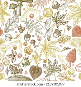 Seamless vector pattern autumn in engraving style. Oak leaf, acorns, berries, maple leaves, ginkgo, mushrooms, stump, chestnut, physalis, wild rose, mountain ash