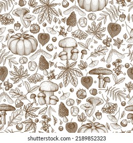 Seamless vector pattern autumn in engraving style. Oak leaf, acorns, berries, maple leaves, ginkgo, mushrooms, chestnut, physalis, wild rose, mountain ash, pumpkin