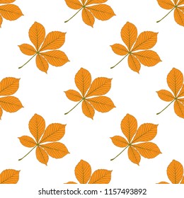 Seamless vector pattern with autumn leaves. Chestnut leaf.