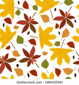 Seamless vector pattern with autumn leaves (maple, chestnut) on white background. Vector illustration background for wallpaper, wrapping paper, web page, greeting cards