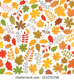 Seamless vector pattern with autumn leaves in yellow, orange and red colors on white background 