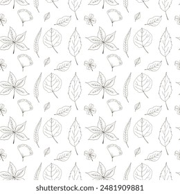 Patrón de Vector sin costuras. Hojas de otoño. Patrón sin color de relleno sobre fondo blanco. Estilo Doodle. Dibujo a mano. 