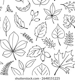 Naadloze vector patroon van de herfst bladeren en bessen in zwarte omtrek stijl. Doodle botanische elementen, schone lijnkunst, witte achtergrond. Ideaal voor kleurboek, textielprint, verpakking, briefpapier