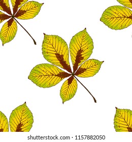 Seamless vector pattern with autumn leaves.Chestnut leaf.