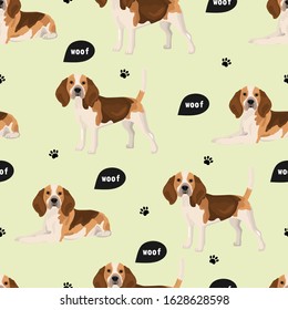 
Seamless vector pattern with beagle dogs.