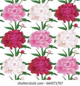Seamless vector pattern with beautiful peony flowers