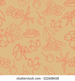 Seamless vector pattern with  berries  for autumn beverages. Vector hand drawn illustration.