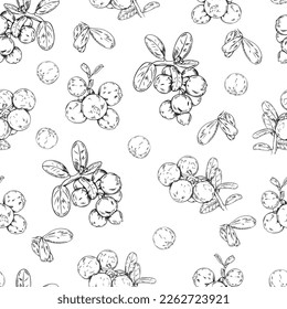 Seamless vector pattern of black line bearberries on white background
