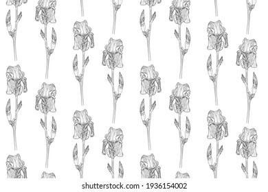 Seamless vector pattern with black and white iris flowers