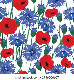 Seamless vector pattern with blue cornflower and red poppy flowers. Hand drawn ornament with wildflower. Floral background. Perfect for greetings, invitations, manufacture wrapping paper, textile, web