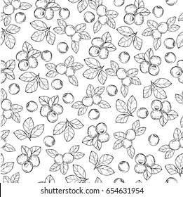 Seamless vector pattern. Blueberries black and white  pattern on the white background.