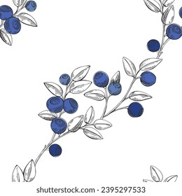Seamless vector pattern with blueberry on white background.  Vector. Perfect for design templates, wallpaper, wrapping, fabric, print and textile.
