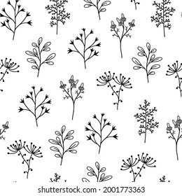 Seamless vector pattern with botanical elements. Flowers, wild herbs, medicinal plants. Hand drawn doodle, branch outline. Monochrome. A sketch of a twig with leaves and berries.