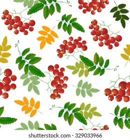 Seamless vector pattern with bunches of rowan. Rowan berries and leaves isolated on white. Vector illustration.