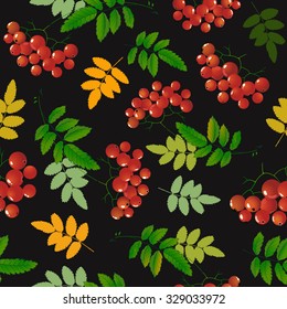 Seamless vector pattern with bunches of rowan. Rowan berries and leaves isolated on black background. Vector illustration.