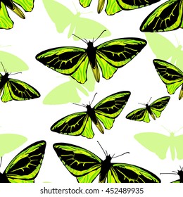 Seamless vector pattern with butterfly. Summer textile design.