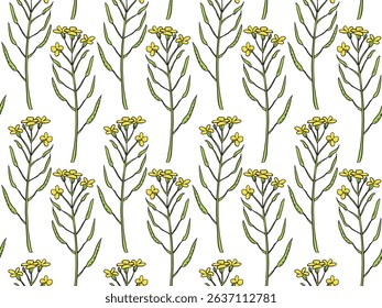Seamless vector pattern of canola flowers with green leaves and yellow petals, ideal for textiles, packaging, wallpapers, and eco-design projects.