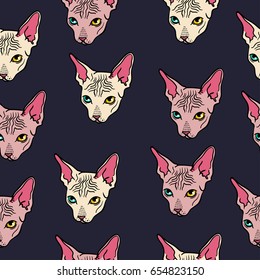 Seamless vector pattern with cats sphinxes on a dark background. Portrait of an animal, head, fashionable youth print