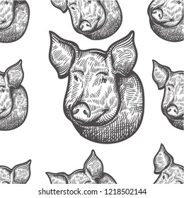 Seamless vector pattern of christmas pig. 
Chinese symbol of 2019.
