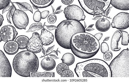 Seamless vector pattern with citrus fruits. Black and white illustration. Vintage engraving. Kitchen design for paper, textiles, wallpaper, interior design. Hand drawing