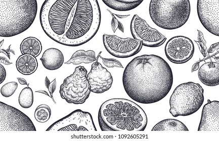Seamless vector pattern with citrus fruits. Black and white illustration. Vintage engraving. Kitchen design for paper, textiles, wallpaper, interior design. Hand drawing