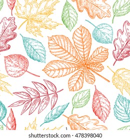 Seamless vector pattern with colorful autumn leaves. Hand drawn detailed botanical background. Oak, maple, chestnut leaf drawing. Vintage fall seasonal decor in red, yellow, green and blue colors.