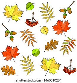 Seamless vector pattern with colorful leaves, berries and acorns.
