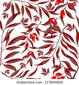 Seamless vector pattern with cranberries