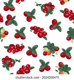 Seamless vector pattern with cranberries. Bright summer background. North Berries.