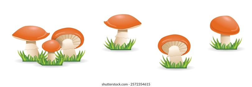 Seamless vector pattern with cute cartoon forest mushrooms. Edible mushroom boletus on white background. Can be used Creative design for printing on fabric, wallpaper and scrapbooking.