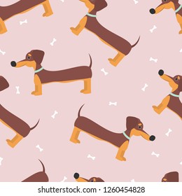 Seamless vector pattern with cute dachshund dog.