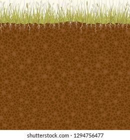 Seamless vector pattern of cutting the soil with grass and roots.