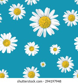 Seamless vector pattern with daisies