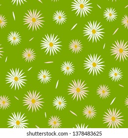 Seamless vector pattern with daisies on green background. Simple summer floral wallpaper design. Hippy fashion textile.