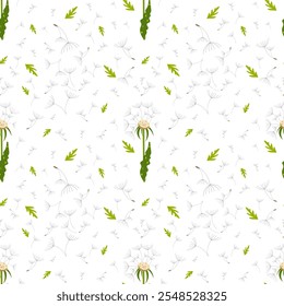 Seamless vector pattern with dandelion flower and flying dandelion fluff on transparent background