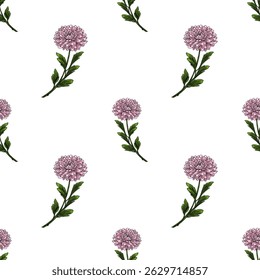Padrão de vetor sem costura com delicadas flores de crisântemo rosa e folhas verdes em um fundo branco, criando um design floral charmoso e elegante.